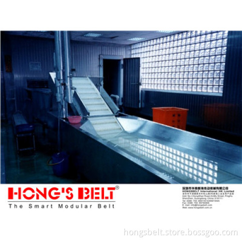 The Food Grade Submerged Modular Conveyor Belt with Side Wall (HS-200B)